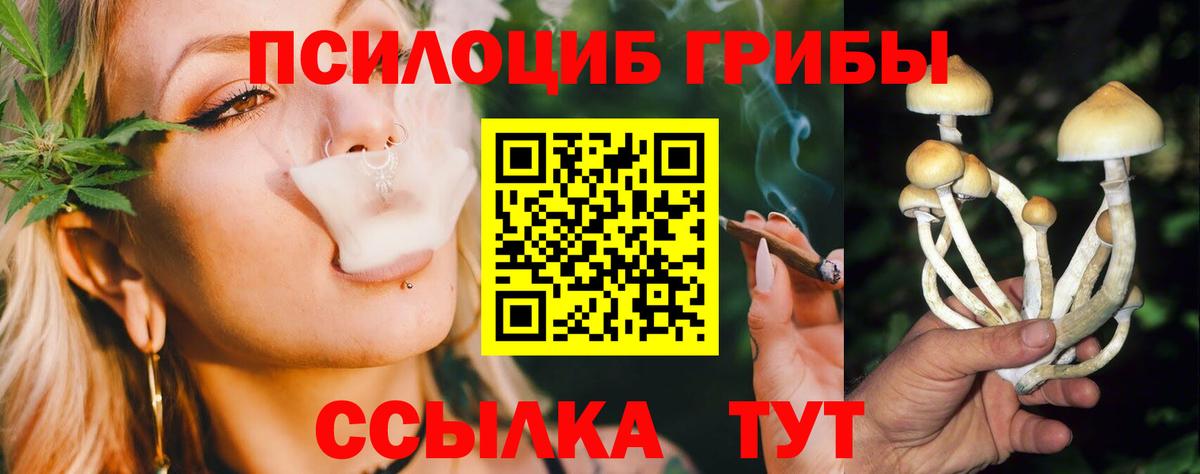 Фурманов  Галлюциногенные грибы Psilocybine cubensis  Вход с VPN 
